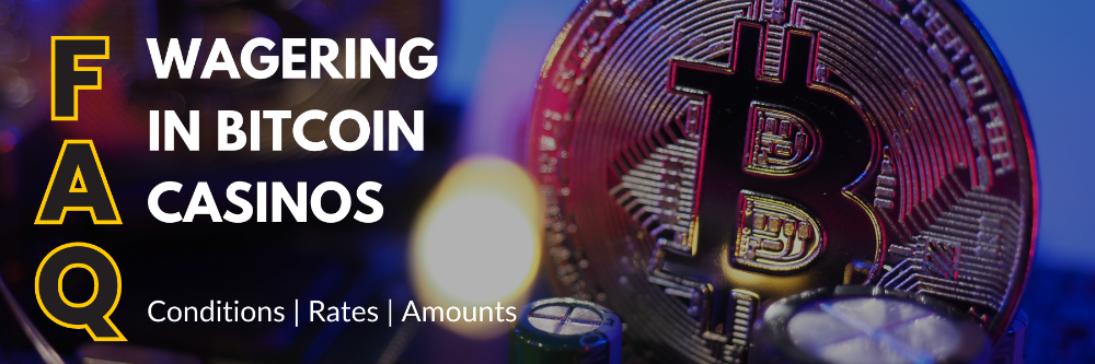 wagering in Bitcoin casinos