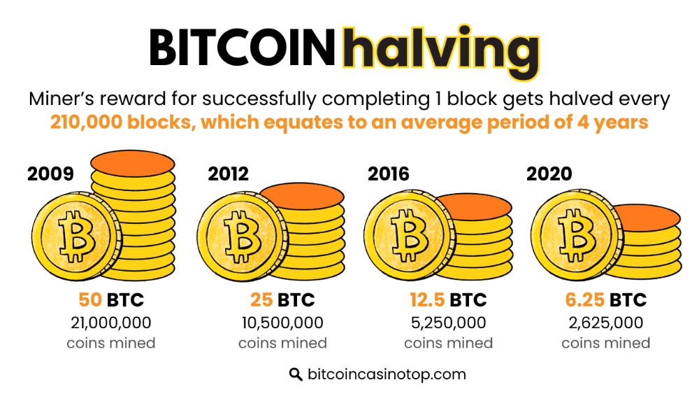 Bitcoin halving in numbers