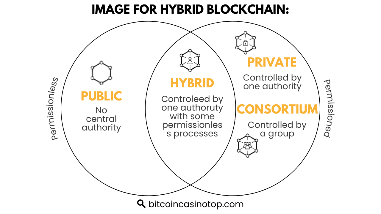 hybrid blockchain scheme