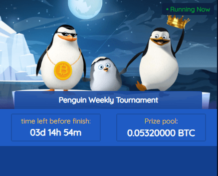 Weekly Penguin Tournament
