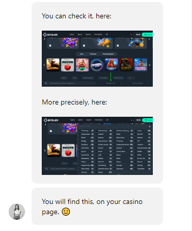 Bitsler Customer Support