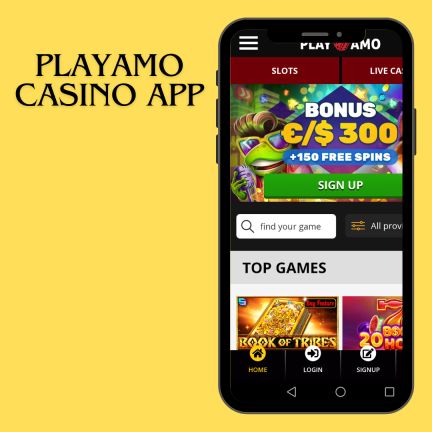 PlayAmo Casino App 