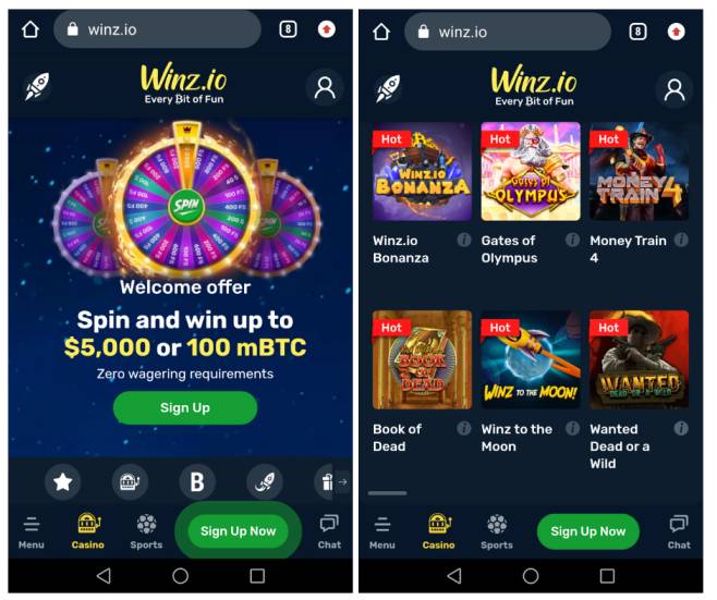 Winz Mobile Casino