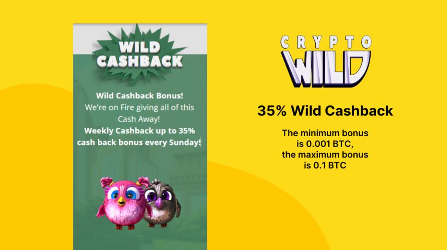 35% Wild Cashback
