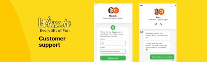 Winz Customer Support