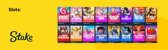 Stake Casino Slots