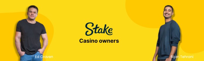 Stake Casino Owner 